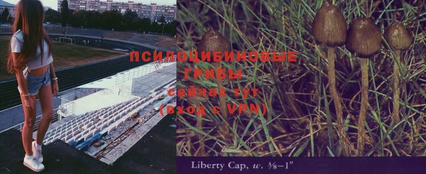 твердый Аркадак