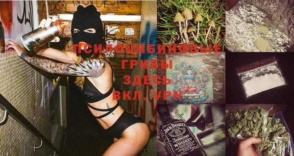 мдпв Карталы